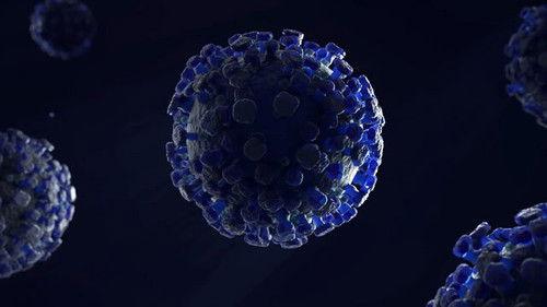 Eons Season 5 Episode 3 - The Pandemic That Lasted 15 Million Years