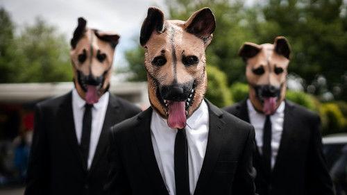 The Brokenwood Mysteries Season 7 Episode 3 - Dog Day Morning