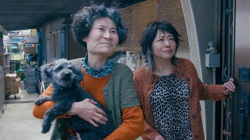 I Didn't Love You Because I Was a Family, But I Loved You as a Family Season 1 Episode 8 - Episode 8