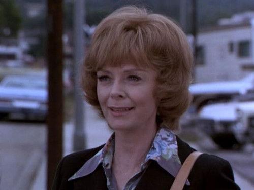 Adam-12 Season 7 Episode 2 - Camp: Part 2