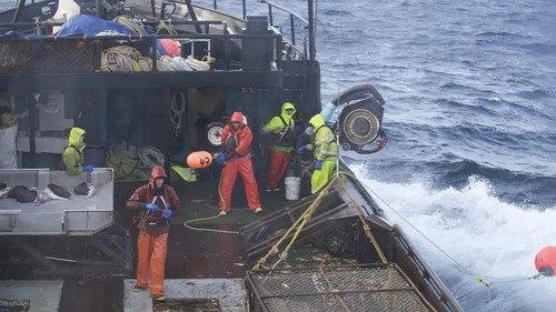 Deadliest Catch Season 14 Episode 15 - Greenhorn Overboard