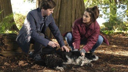 The Good Doctor Season 6 Episode 11 - The Good Boy