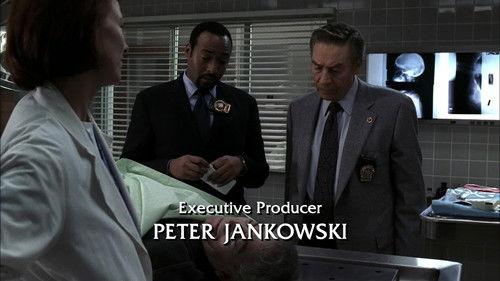 Law & Order Season 14 Episode 12 - Payback
