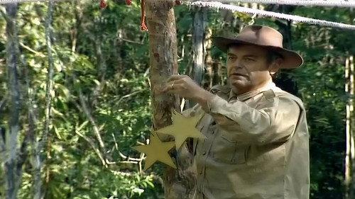 I'm a Celebrity...Get Me Out of Here! Season 1 Episode 13 - Spider Web