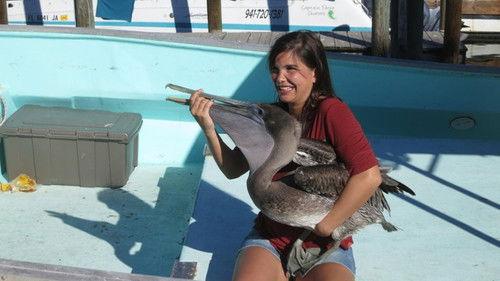 Anna und die wilden Tiere Season 1 Episode 10 - Episode 10