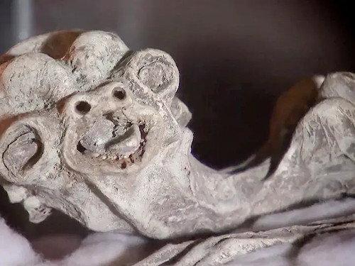 River Monsters Season 3 Episode 6 - Cold-Blooded Horror