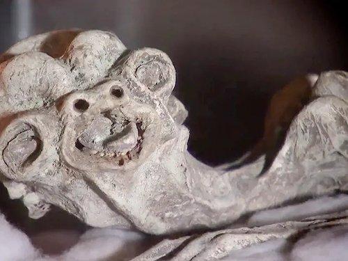 River Monsters Season 3 Episode 6 - Cold-Blooded Horror