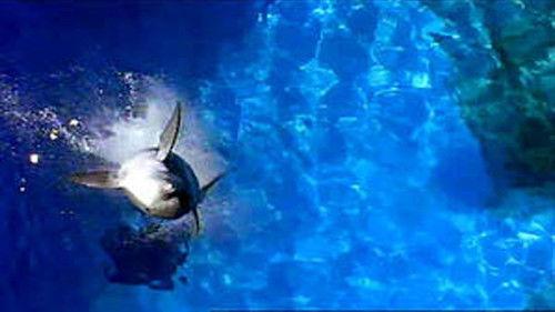 My Two Dads Season 1 Episode 10 - Quality Time