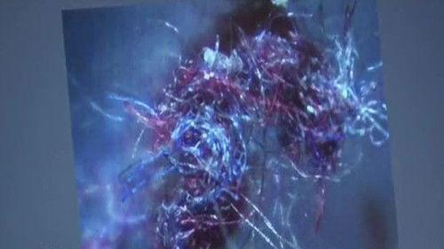 The Unexplained Files Season 1 Episode 4 - UFO, Mothman & Morgellon's Disease