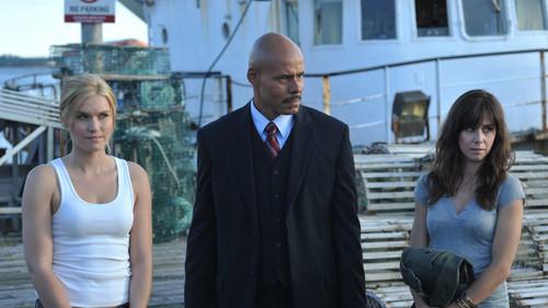 Background image for The Trial of Audrey Parker