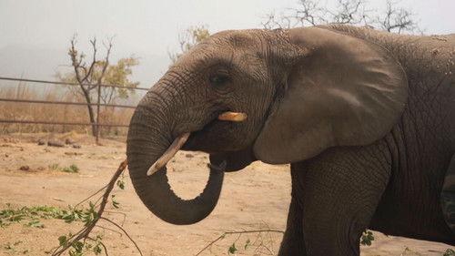 Po jedné stopě Season 2 Episode 12 - Episode 12