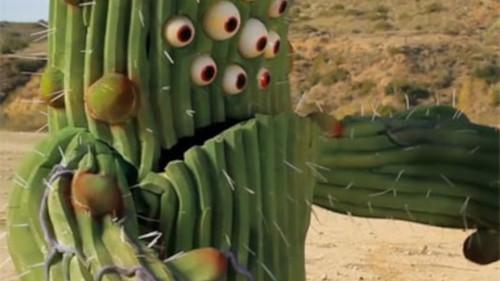 The Aquabats! Super Show! Season 1 Episode 11 - Night Of The Cactus!