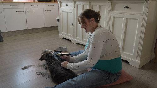 Een Huis Vol Season 19 Episode 14 - Episode 14