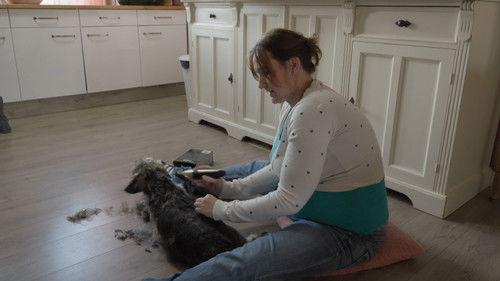 Een Huis Vol Season 19 Episode 14 - Episode 14