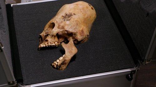 Ancient Aliens Season 18 Episode 16 - Ancient Aliens on Location: Evidence of Alien Life