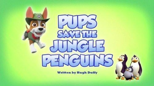 PAW Patrol Season 6 Episode 1 - Pups Save the Jungle Penguins