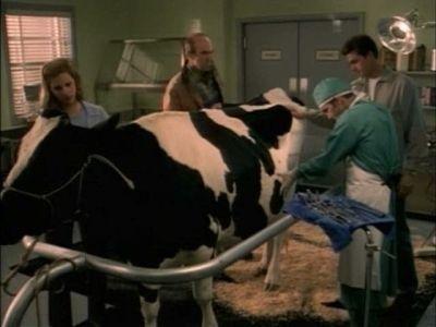 Dark Skies Season 1 Episode 6 - Inhuman Nature