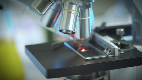 Background image for The Ambush