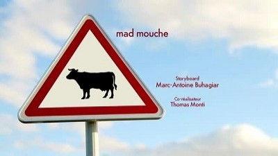 Minuscule: The Private Life of Insects Season 2 Episode 25 - Mad fly