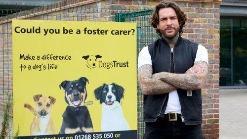 Pete Wicks: For Dogs’ Sake Season 2 Episode 5 - Flower, Heidi And Marvin