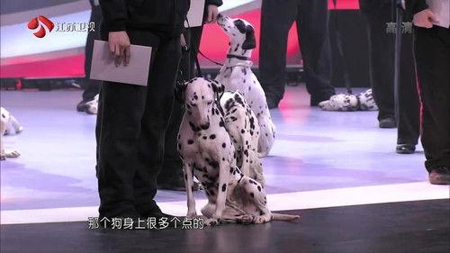 Super Brain Season 1 Episode 2 - Episode 2