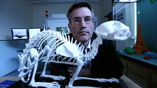 Horizon Season 52 Episode 10 - 70 Million Animal Mummies: Egypt's Dark Secret