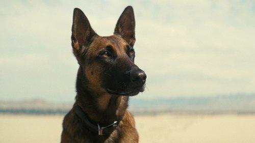 undefined Season 1 Episode 7 - The Radio