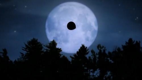 Minuscule: The Private Life of Insects Season 1 Episode 10 - Zzzeplin