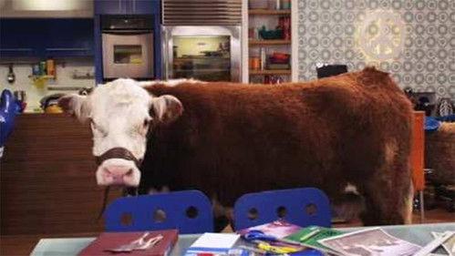 undefined Season 2 Episode 15 - Green Time Rush