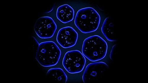 undefined Season 2 Episode 12 - We Are Family