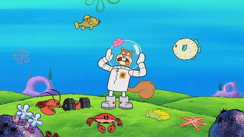 SpongeBob SquarePants Season 11 Episode 5 - Feral Friends
