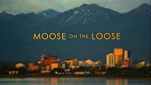 Natural World Season 26 Episode 3 - Moose on the Loose