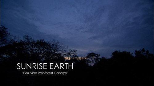 Sunrise Earth Season 3 Episode 19 - Peruvian Rainforest Canopy