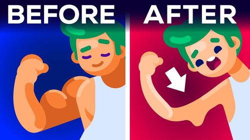 Kurzgesagt - In a Nutshell Season 11 Episode 2 - What Actually Happens When You Are Sick