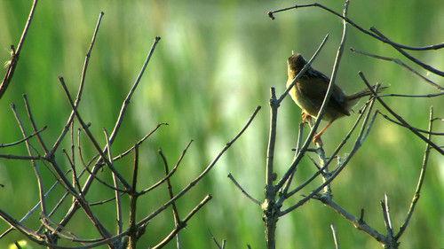 Découverte Season 32 Episode 22 - Episode 22