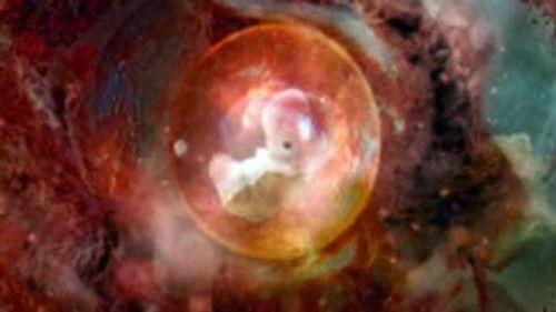 Through the Wormhole Season 3 Episode 3 - Is the Universe Alive?