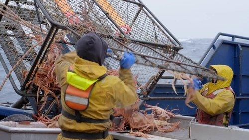 Deadliest Catch Season 20 Episode 17 - Out Cold