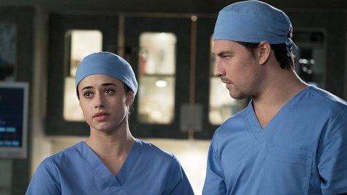 Grey's Anatomy Season 14 Episode 19 - Beautiful Dreamer