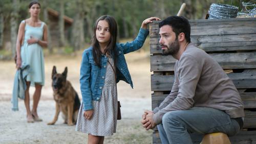 Background image for The Exodus