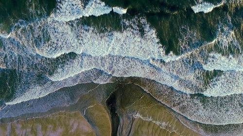 Absurd Planet Season 1 Episode 6 - Extremeliest