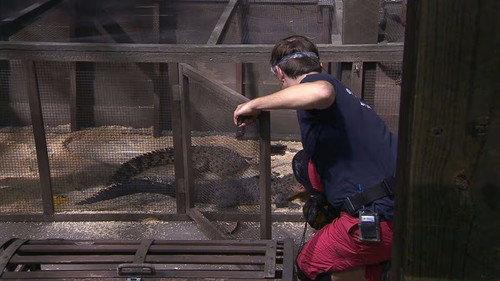 I'm a Celebrity...Get Me Out of Here! Season 19 Episode 10 - Ark of Agony
