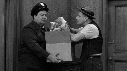 The Honeymooners Season 1 Episode 21 - A Dog's Life