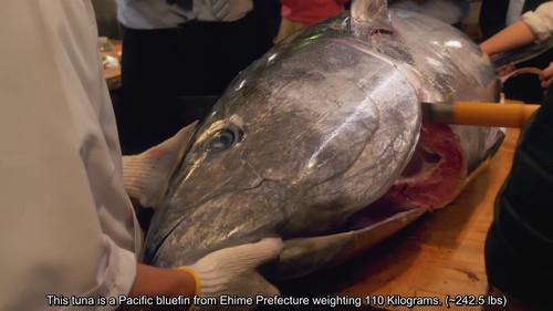 Wakako Zake Season 4 Episode 1 - Go to the tuna cutting show!