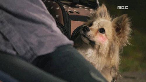 All Kinds of Daughters-in-Law Season 1 Episode 14 - Episode 14