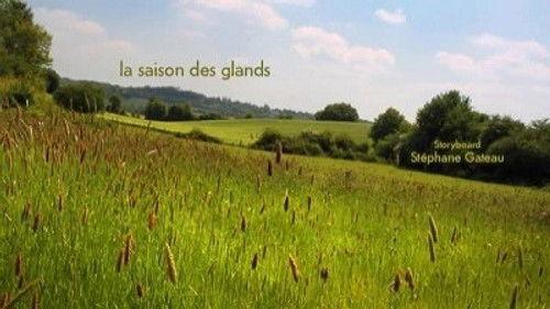 Minuscule: The Private Life of Insects Season 2 Episode 8 - An acorn season