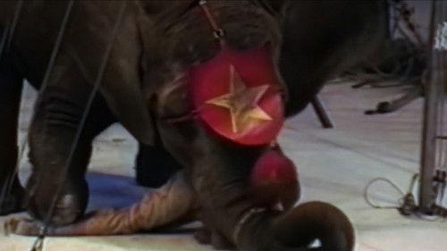 World's Most Amazing Videos Season 1 Episode 2 - The Scariest Show on Earth