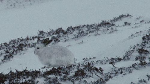 Europe's Great Wilderness Season 1 Episode 1 - Life Below Zero