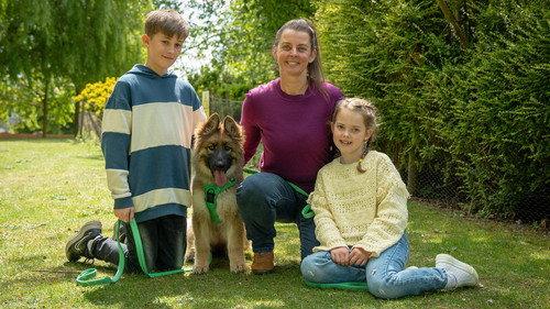 The Dog House Season 9 Episode 3 - Episode 3