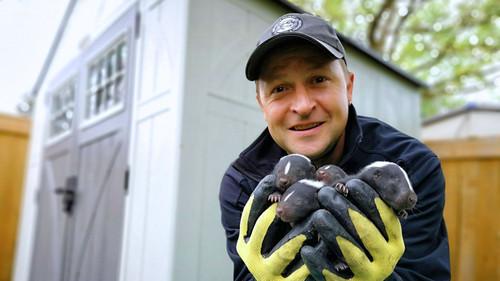 Louis and the Urban Jungle Season 2 Episode 6 - Episode 6