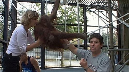 Monkey Business Season 5 Episode 11 - Episode 11